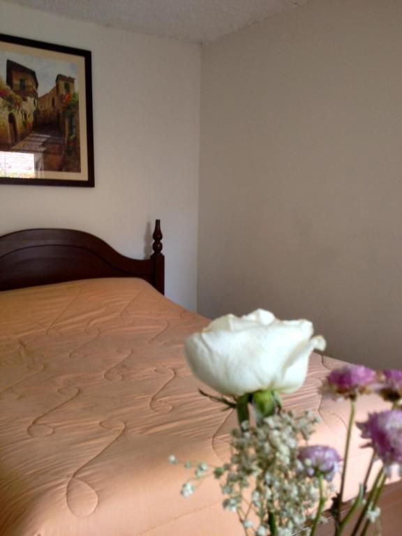 Casa Macondo Bed & Breakfast Cuenca Room photo